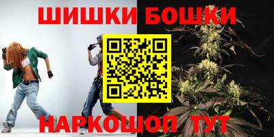 шишки Камышлов